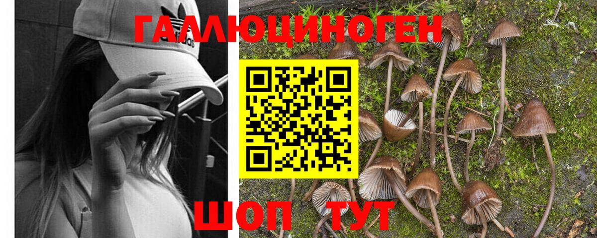 Псилоцибиновые грибы ЛСД  Галлюциногенные грибы мицелий  Вход с VPN  Надым 